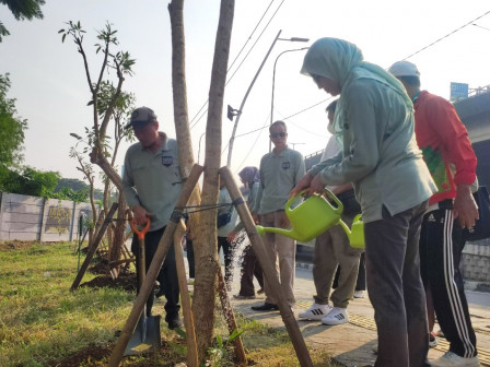  60 Pohon Pelindung Ditanam di Jalur Hijau Jalan Jenderal Ahmad Yani 