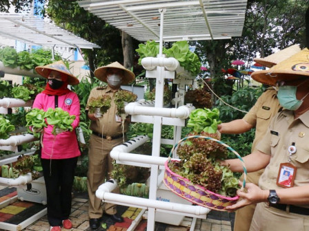 Wow! 903 Kilogram Sayur dan Ikan Berhasil Dipanen dari Jakbar 