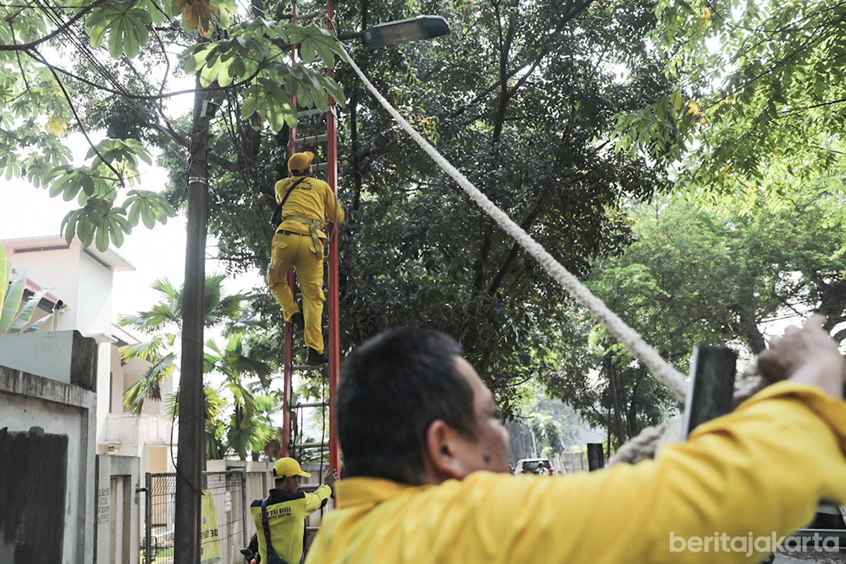 Pemasangan Lampu PJU LED SS di Jakarta Timur