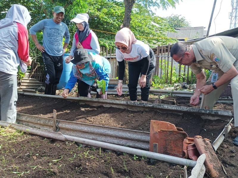 Lahan Tidur di RW 04 Cipinang Disulap jadi Urban Farming