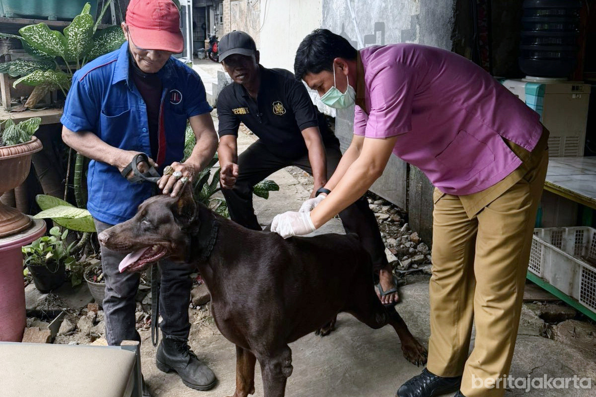 Kagiatan vaksinasi HPR di Jakarta Barat
