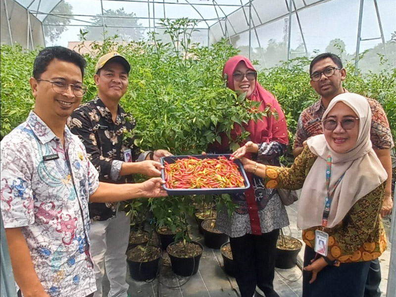 Urban Farming di RW 06 Pulo Gebang akan Dijadikan Edu Farm 