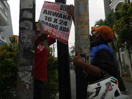 Puluhan Pamflet di Jl Gambang Ditertibkan