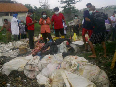 1.795 Ayam Bangkai di Jaktim Diamankan