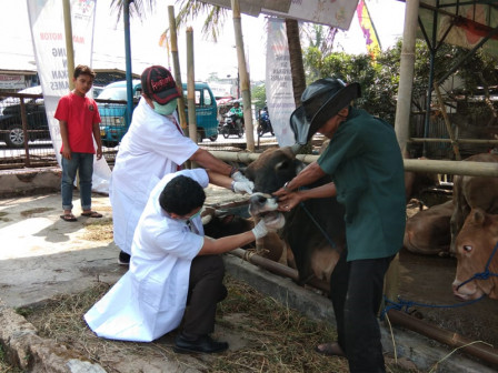  Sudin KPKP Jaksel Mulai Periksa Kesehatan Hewan Kurban 