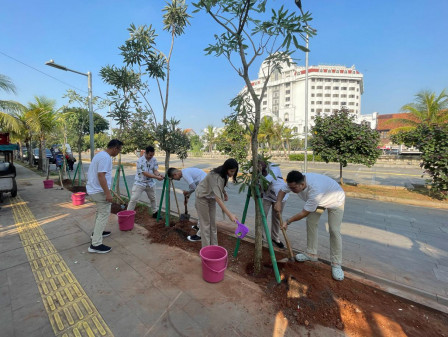 Enam Pohon Tabebuya Ditanam di Jalan Kali Besar Timur 