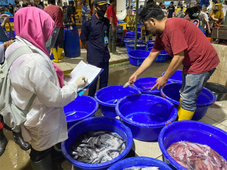 Dinas KPKP Uji Produk di Pasar Ikan Modern Muara Baru