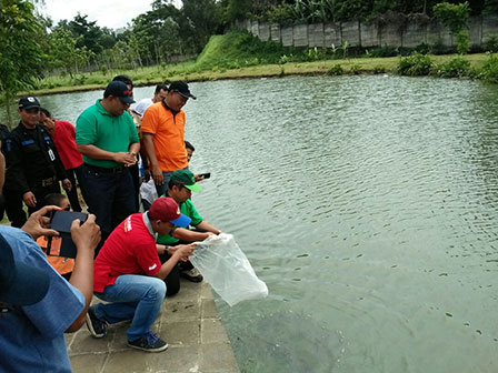 1000 Bibit Ikan Ditabur di Danau Taman Cempaka