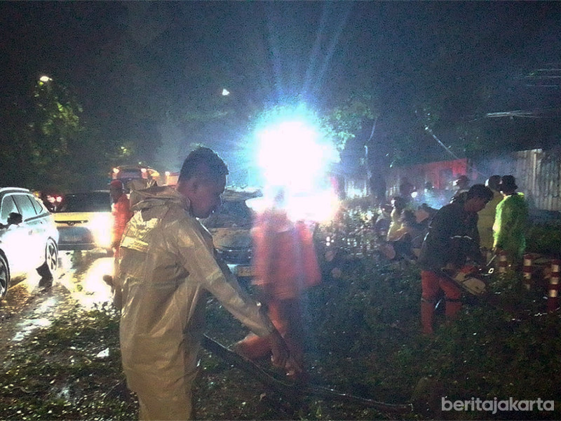 Proses evakuasi pohon beringin tumbang di Jalan Perintis Kemerdekaan, Jakarta Timur