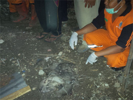 Kelurahan Pulau Kelapa Terus Galakkan Operasi Tangkap Tikus