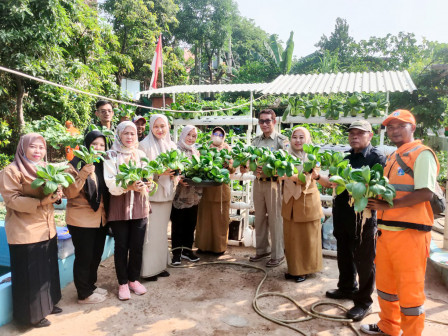  20 Kilogram Pakcoy Dipanen dari Taman Hatinya PKK RW 10 Pademangan Timur 