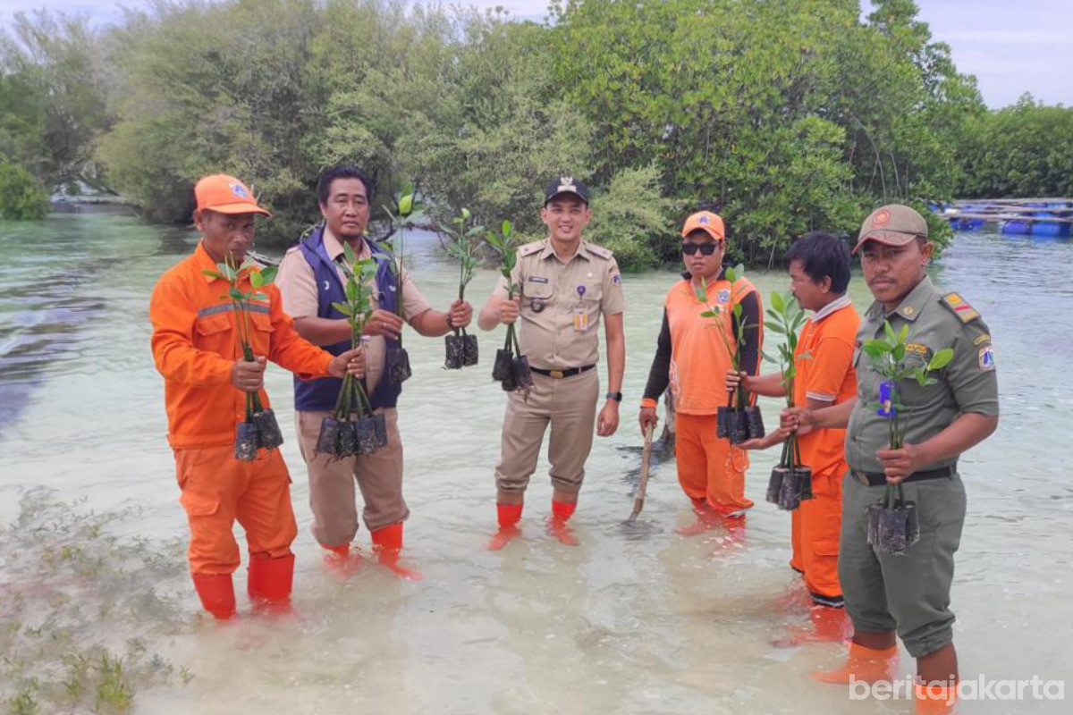 Lurah Pulau Kelapa Tanam Puluhan Bibit Mangrove Perkuat Lindungi Pesisir