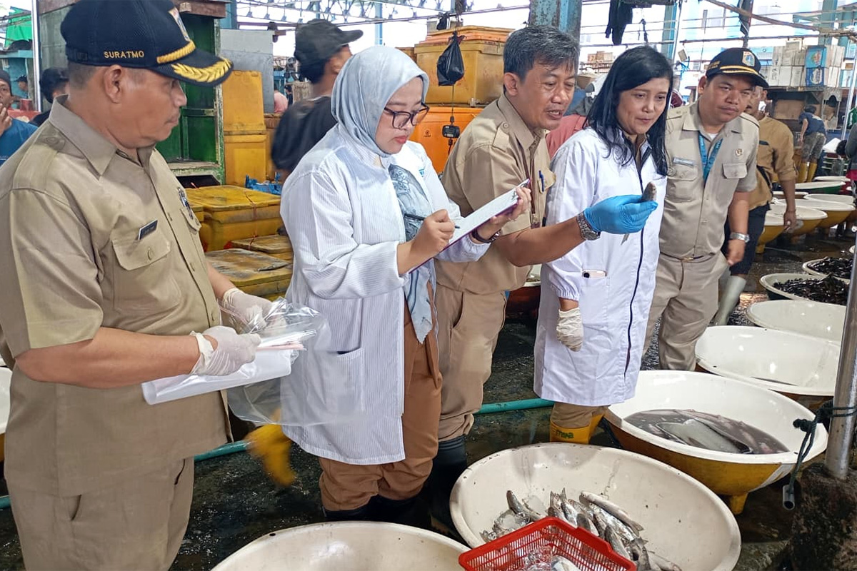 Pengawasan keamanan pangan perikanan terpadu di Jakut jelang perayaan tahun baru 2026