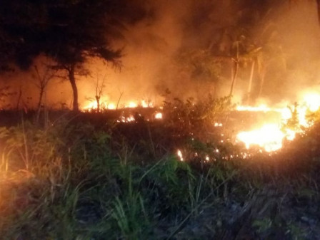 Kebakaran Lahan di Kampung Baru Pulau Tidung Berhasil Dipadamkan