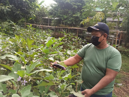 Warga Pondok Labu Manfaatkan Lahan Tidur Jadi Lahan Produktif