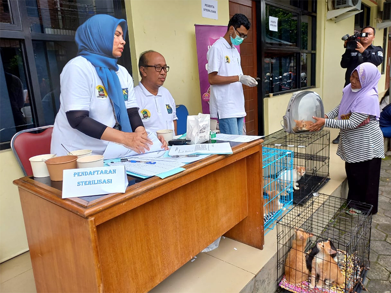 Intan Senang Bisa Ikut Sterilisasi Kucing Kesayangannya