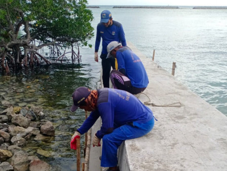 Petugas Membuat Tanggul Pembatas Sepanjang 23 Meter di Pulau Sebira