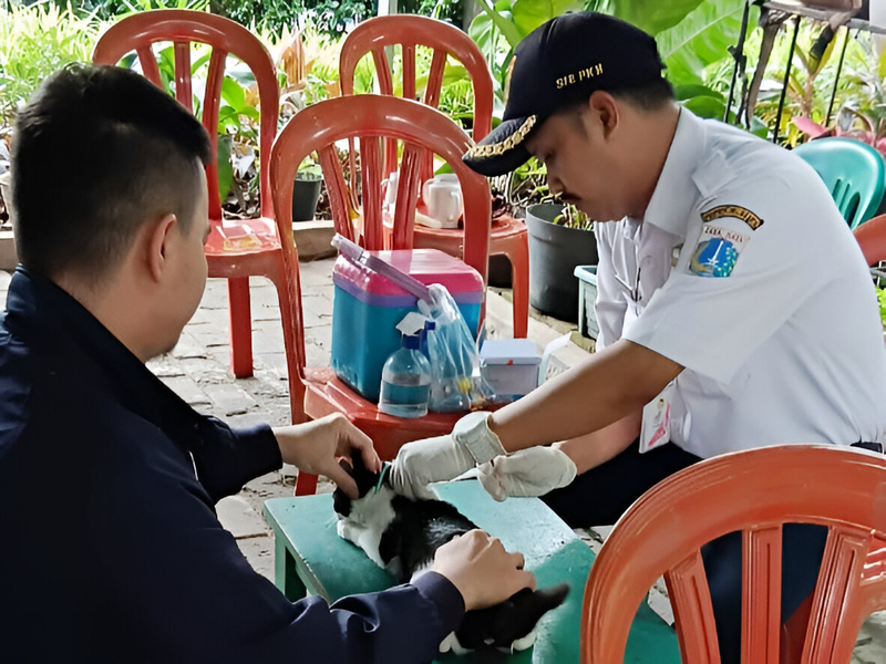 181 HPR di Tanah Tinggi Sudah Divaksin Rabies
