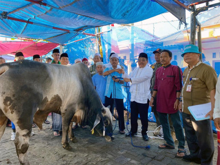 Bupati Laksanakan Salat Idul Adha di Pulau Panggang