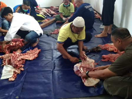 Kecamatan Cilandak Gelar Pemotongan Hewan Kurban	