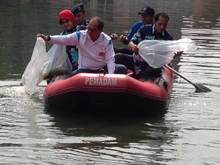 Puluhan Ribu Benih ikan Nila Ditebar di Danau PU