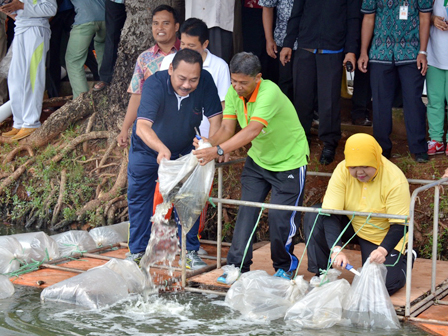 25 Ribu Bibit Ikan Ditebar di Waduk Rawa Buaya