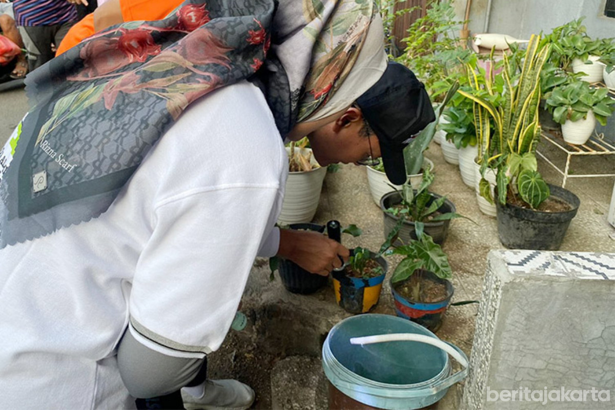 Musim Hujan Picu Peningkatan Kasus DBD di Jakarta 