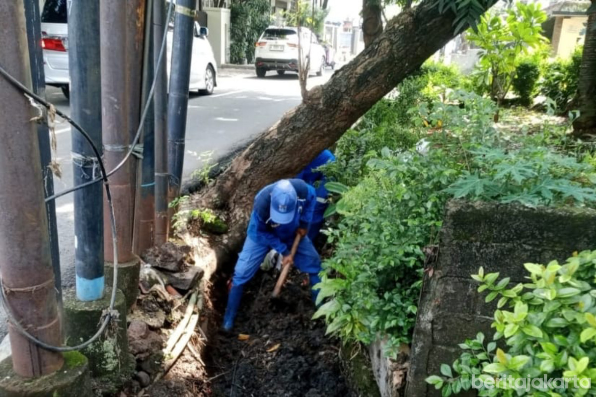 Petugas melakukan pengerukan lumpur saluran di di Jalan Lebak Bulus I