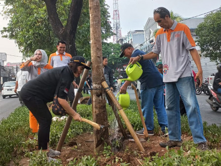 Tamhut Jakpus Tanam 6 Pohon Pelindung di Jalan Bungur Besar Raya