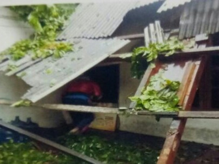 Rumah Warga Tertimpa Pohon Tumbang di Palmerah Disurvei