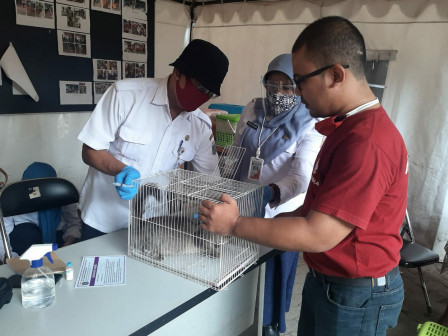 Satpel KPKP Mampang Prapatan Lakukan Vaksinasi HPR di Dua Lokasi