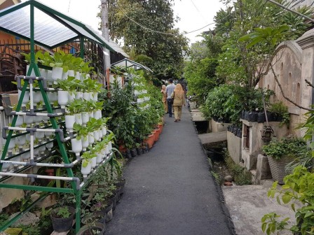 Sudin KPKP Lakukan Urban Farming di 16 Lokasi di Jakpus