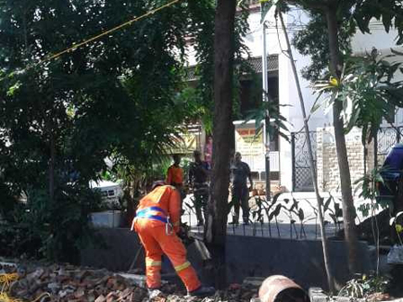 Puluhan Pohon di Jl Gading Mas Ditoping