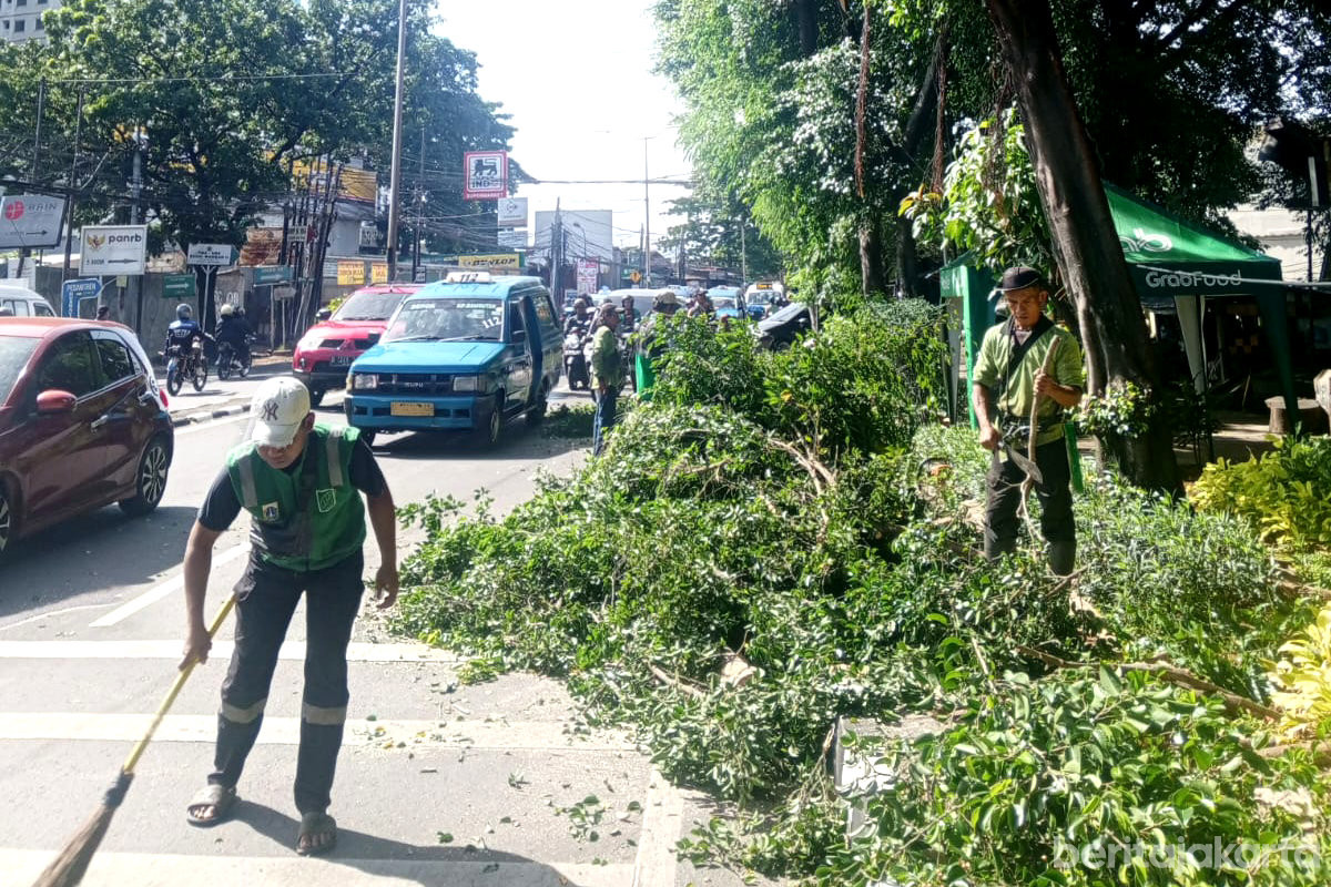Pohon di Jaktim Ditoping 