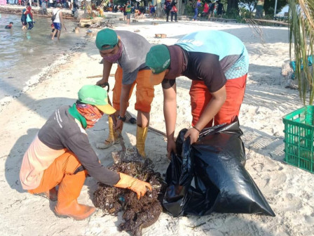 11 Karung Plastik Limbah Minyak Mentah Berhasil Dikumpulkan dari Pantai Jembatan Cinta
