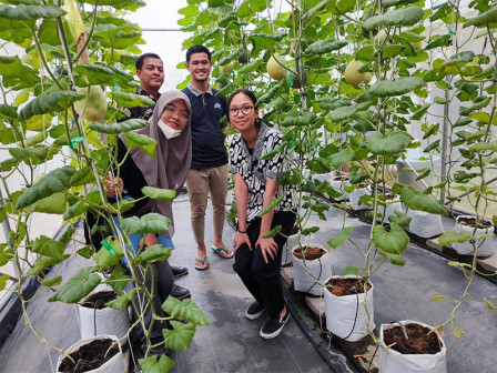 Peserta dari Jaksel Optimistis Juarai Lomba Konten Video Urban Farming