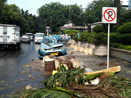 Pohon Tumbang Timpa Taxi di Dekat Hotel Milenium 