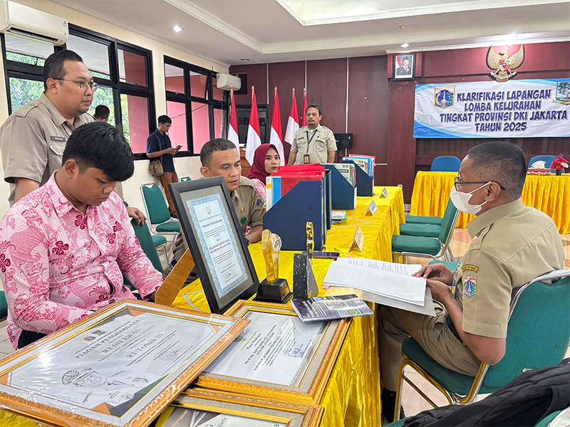 Kelurahan Sunter Agung, Tim Klarifikasi Lapangan, Lomba Kelurahan Tingkat Provinsi