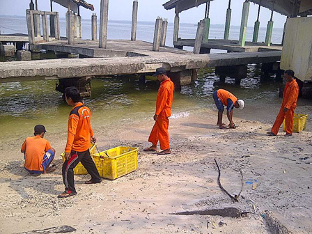 Penanganan Sampah Harus Lebih Optimal