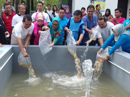 300 Bibit Ikan Ditebar di Kolam RPTRA Taman Pinus