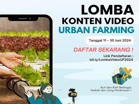 Dinas KPKP Gelar Lomba Konten Video Urban Farming