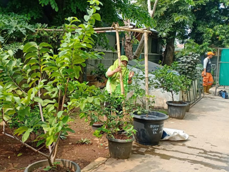  Urban Farming di Kecamatan Duren Sawit Digencarkan