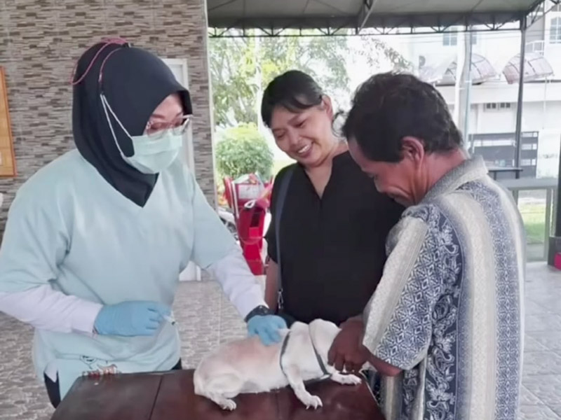 Sebanyak 1.166 Ekor HPR di 7 Kelurahan di Jakbar Divaksinasi Rabies 