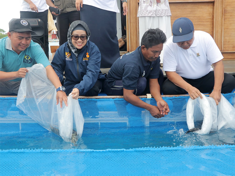 Pembudidaya Ikan di Pulau Kelapa Dibantu 24 Ribu Benih Kerapu Cantang