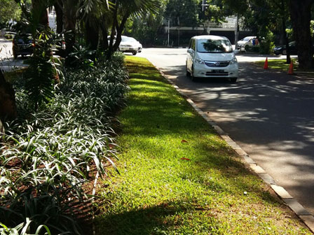  Taman Jalur Hijau di Jalan Brawijaya Ditanam Rumput 