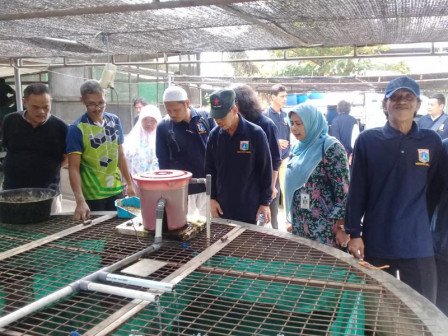 Sudin KPKP Jaksel Gelar Pelatihan Budidaya Ikan Cupang Hias