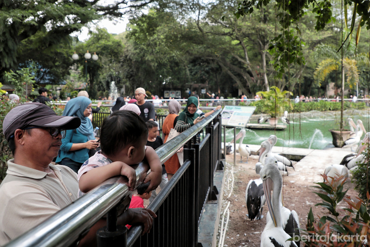 Pengunjung TMR Ragunan di hari pertama libur Natal