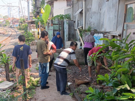  Warga Menteng Olah Lahan Bantaran Rel Sebagai Urban Farming 