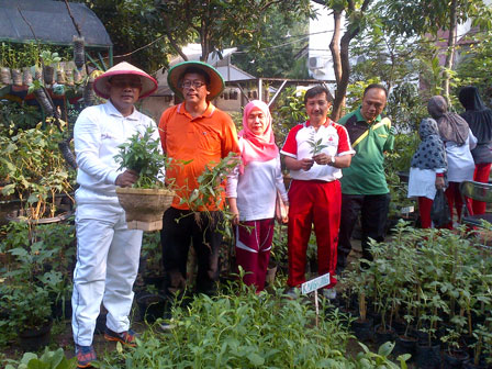  Wakil Walikota Jakpus Ingin Kelurahan dan Kecamatan Tanam Sayuran