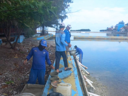 Perbaikan Tanggul Sisi Selatan Pulau Harapan Rampung Lusa